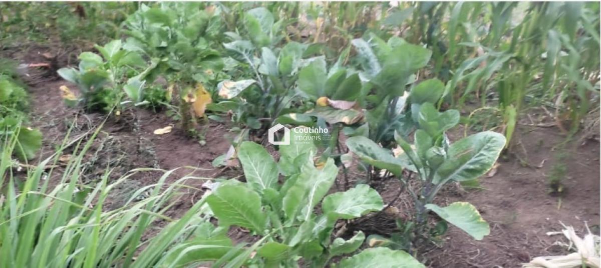 WhatsApp Image 2026-04-20 at 15.51.04.jpeg